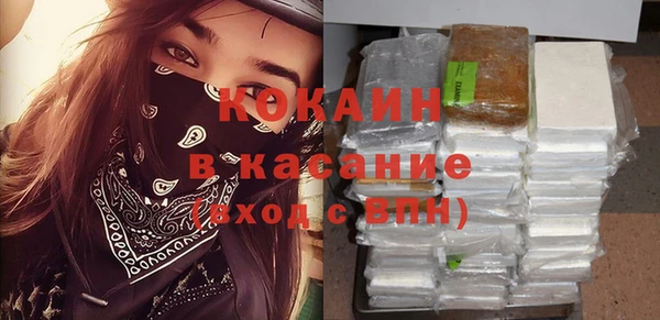 сатива Алзамай