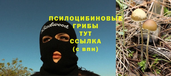 каннабис Алексеевка