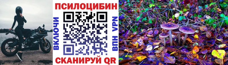 Псилоцибиновые грибы ЛСД  наркотики  Ивангород 